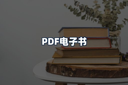 PDF电子书